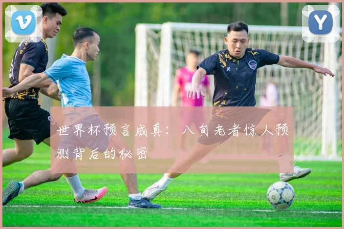世界杯预言成真：八旬老者惊人预测背后的秘密