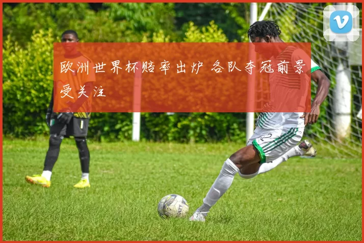 欧洲世界杯赔率出炉 各队夺冠前景受关注