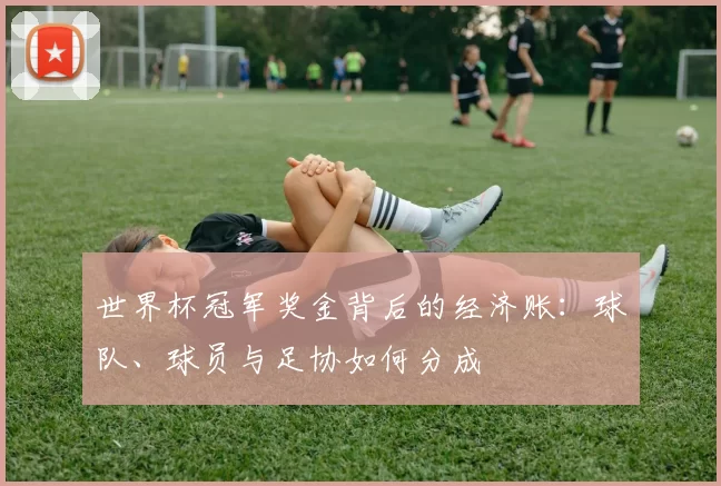 世界杯冠军奖金背后的经济账：球队、球员与足协如何分成