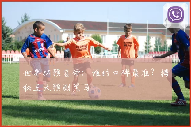 世界杯预言帝：谁的口碑最准？揭秘五大预测黑马