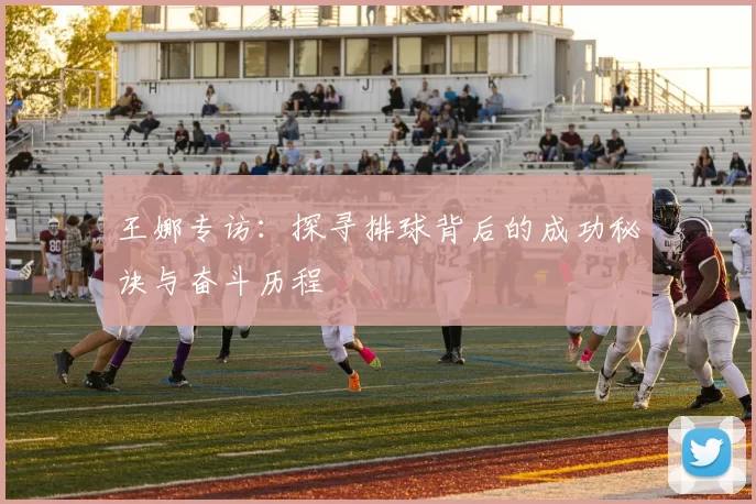 王娜专访:探寻排球背后的成功秘诀与奋斗历程