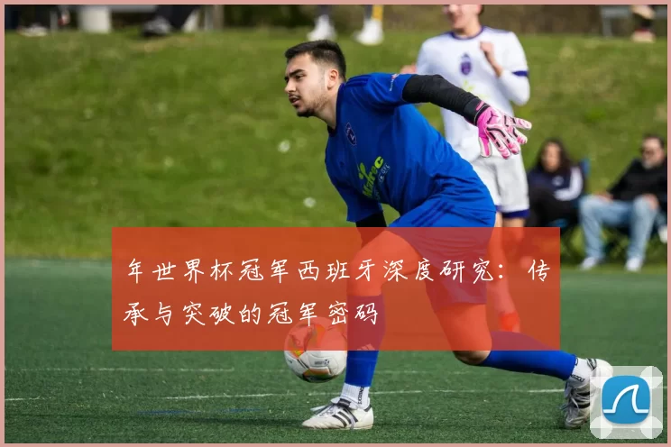 年世界杯冠军西班牙深度研究：传承与突破的冠军密码