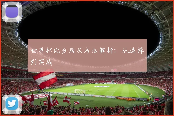 世界杯比分购买方法解析:从选择到实战