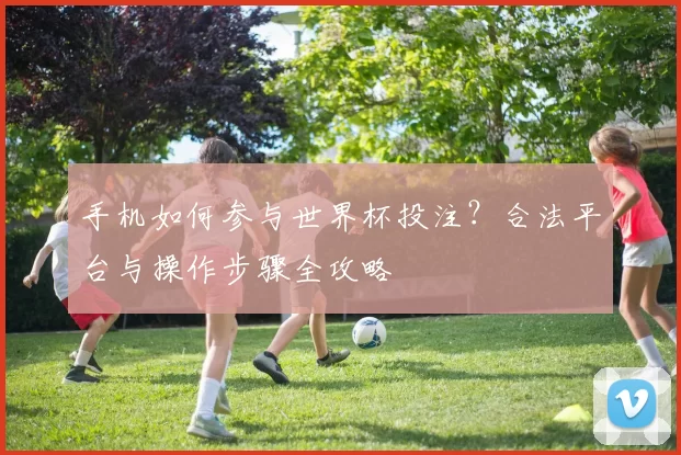 手机如何参与世界杯投注?合法平台与操作步骤全攻略