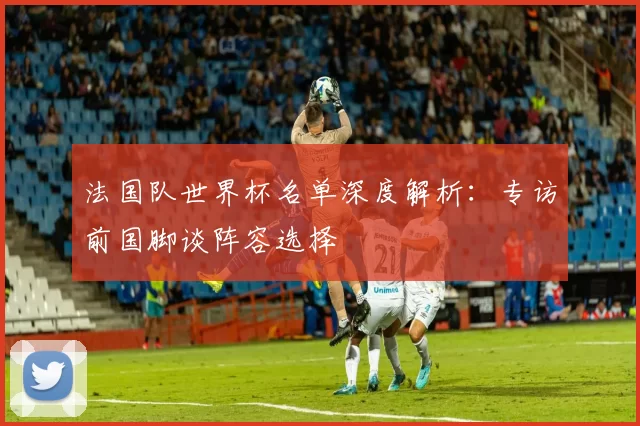 法国队世界杯名单深度解析：专访前国脚谈阵容选择