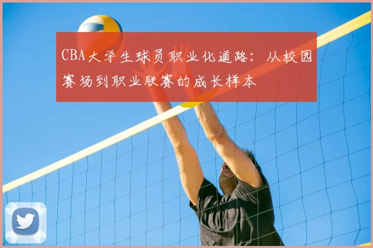 CBA大学生球员职业化道路：从校园赛场到职业联赛的成长样本